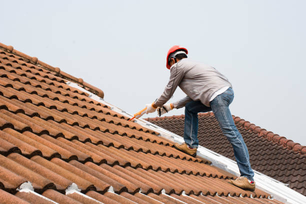 Professional Roofing services in Demorest, GA